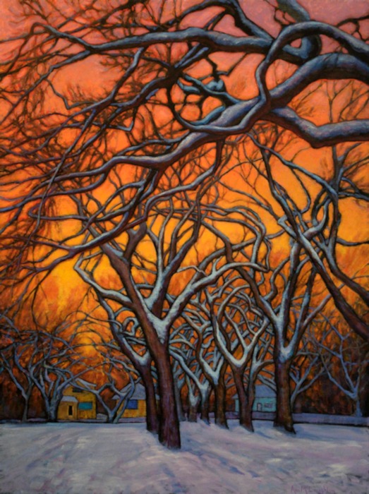 Sunset Elms, Oil Painting by Ann McLaughlin