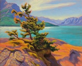 Abraham Lake Pine, Oil Painting by Ann McLaughlin