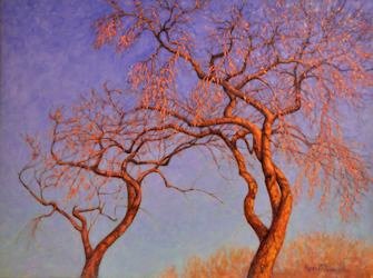 Italian Center Trees, Oil Painting by Ann McLaughlin