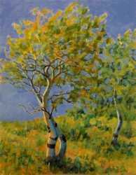 Windy Poplars, Oil Painting by Ann McLaughlin